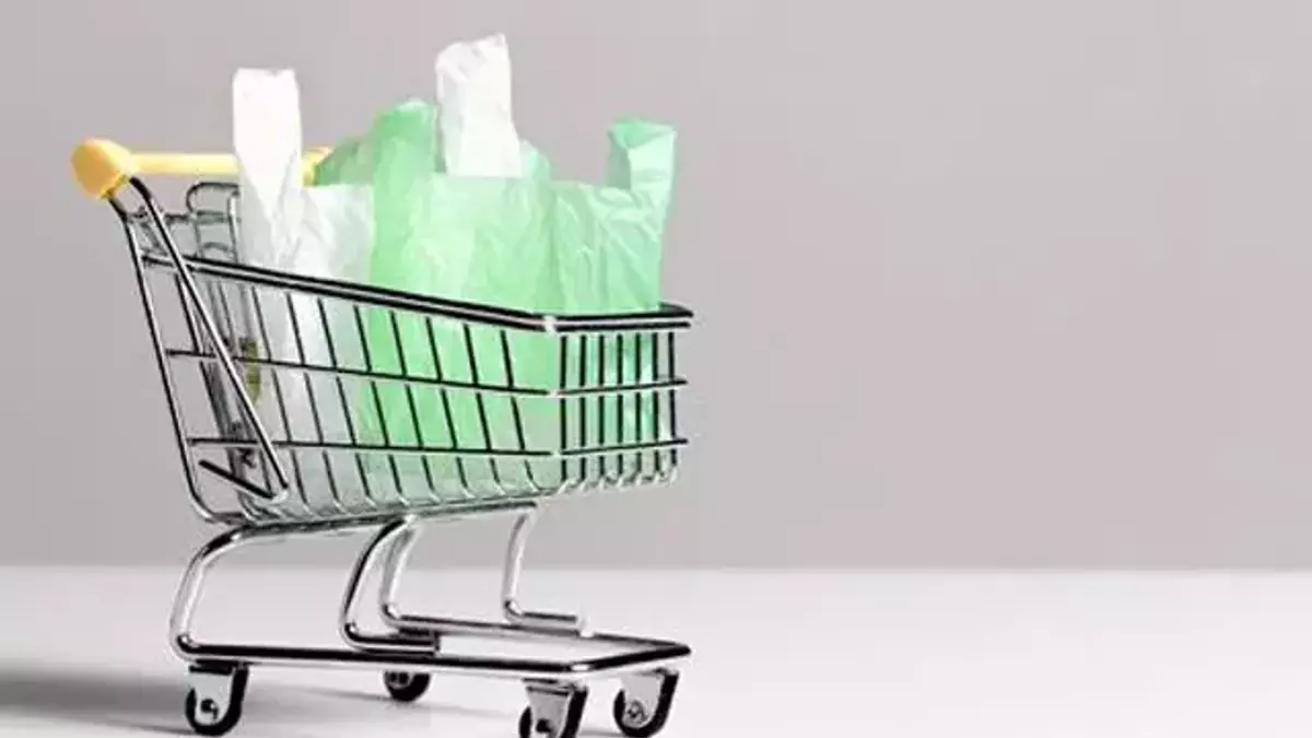 Market poşetinin fiyatı yeni yılda 1 lira olacak