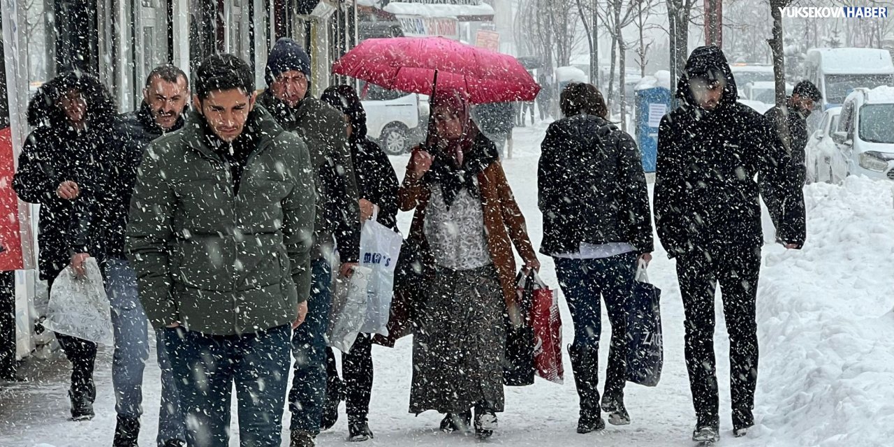 Yüksekova’da kar ve tipi etkisini artırdı: 50 köy ve 70 mezranın yolu kapandı