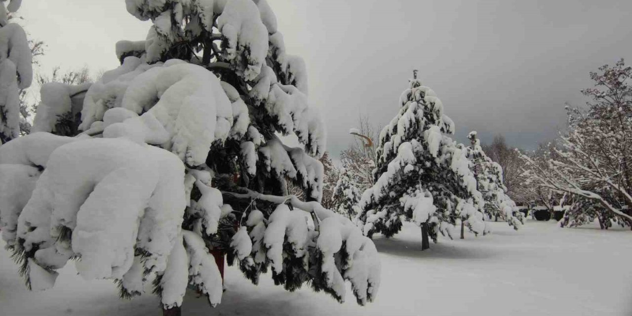 Van’da ağaçlar kartpostallık manzaralar oluşturdu