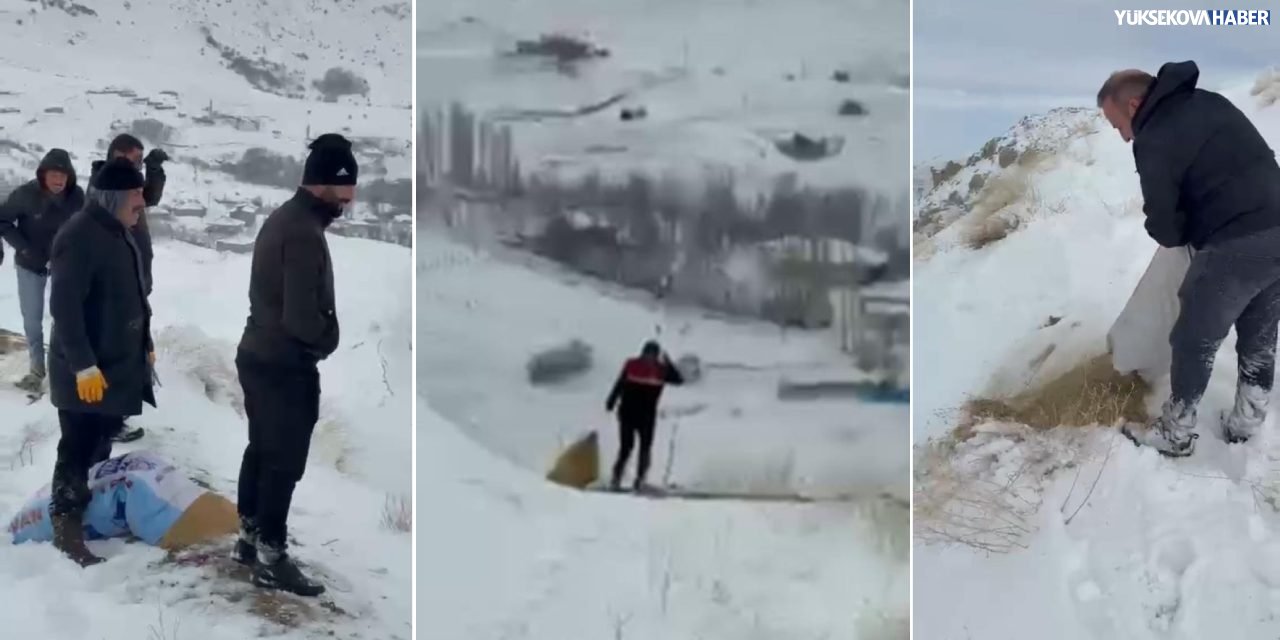 Yüksekova’da dağ keçileri için doğaya yem bırakıldı
