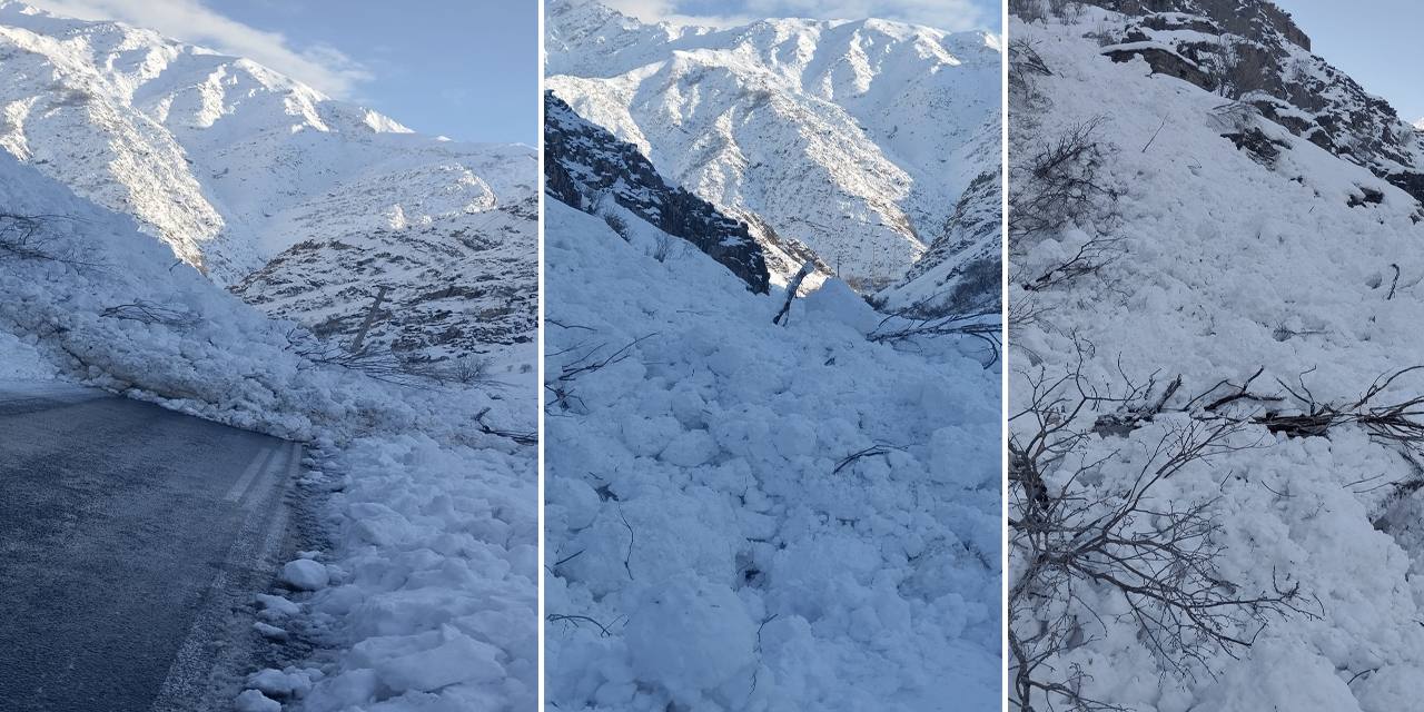 Hakkari-Çukurca kara yoluna çığ düştü
