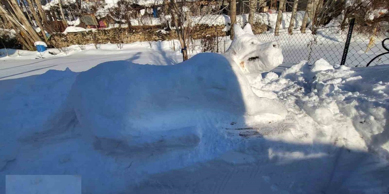 Hakkarili gençten kardan köpek figürü