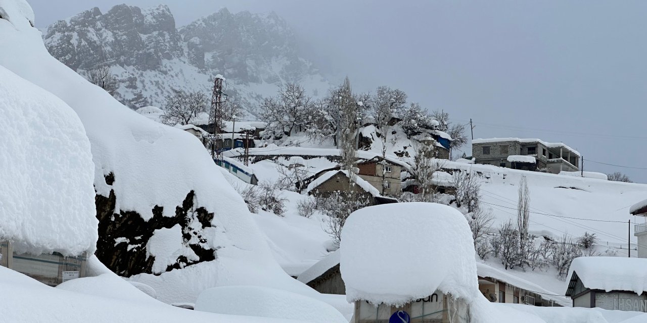 Beytüşşebap'tan kar manzaraları
