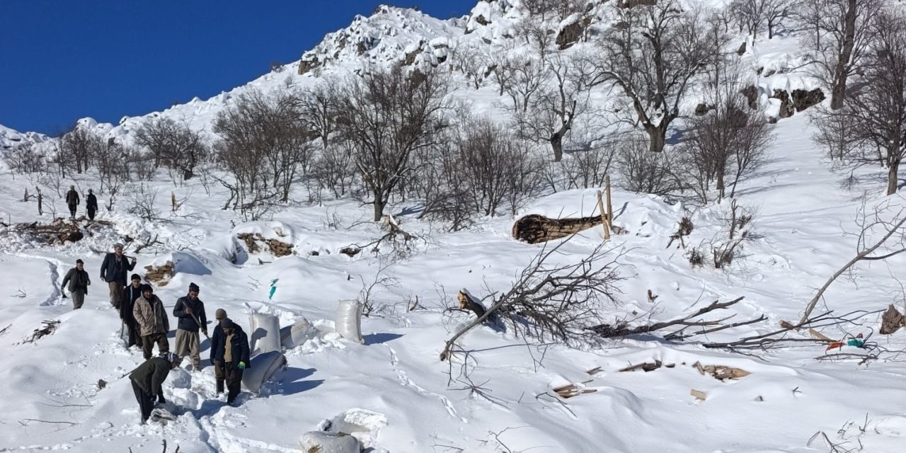 Çukurca'da ahırların üzerine çığ düştü, küçükbaş hayvanlar telef oldu