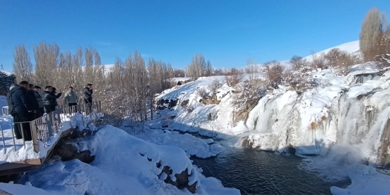 Muradiye Şelalesi buz tuttu
