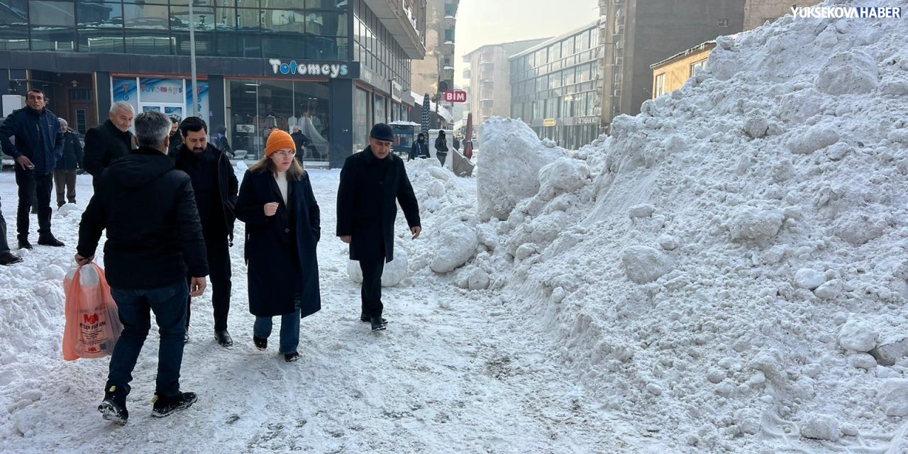Yüksekova Belediyesi, sahadaki karla mücadele çalışmalarını inceledi