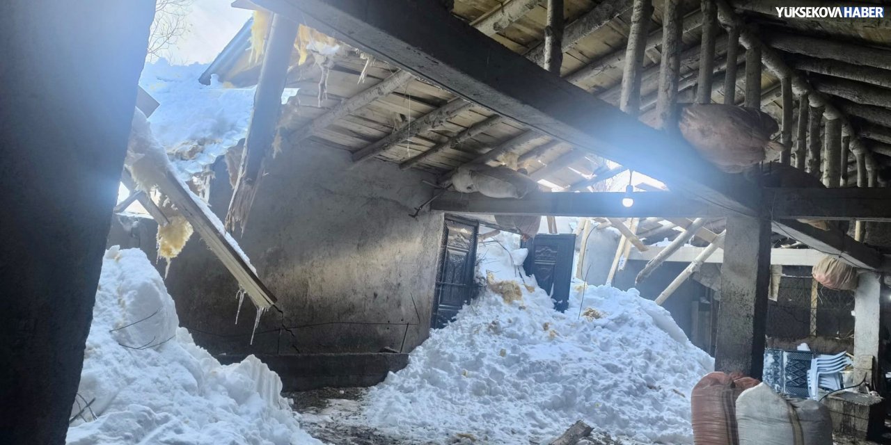 Yüksekovalı çiftçiden sitem: Çığ ahırımızı yıktı, 100 koyunumuz dışarıda kaldı, yardım eden yok!