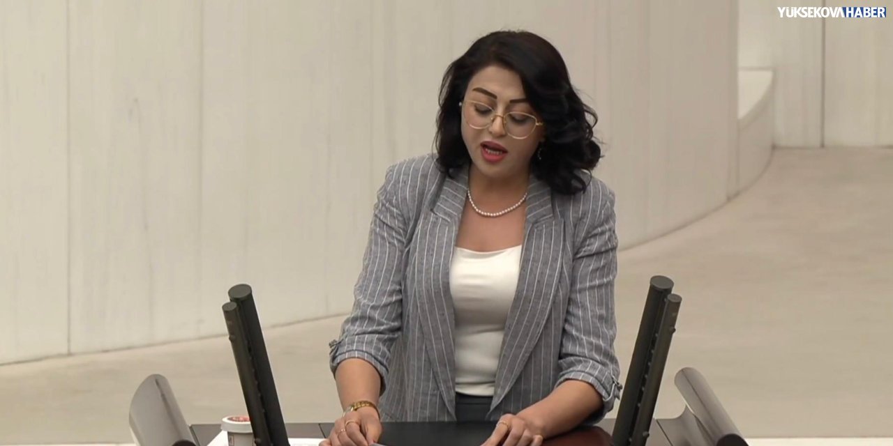 Bartın, trafik kanununu eleştirdi, Hakkari’de kar ve yol felaketlerini gündeme taşıdı