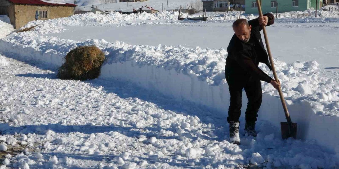 Van’da besicilerin zorlu kış mesaisi