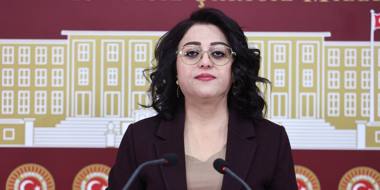 Bartın, Hakkari ve Yüksekova’daki yüksek doğal gaz faturalarını Meclis'e taşıdı