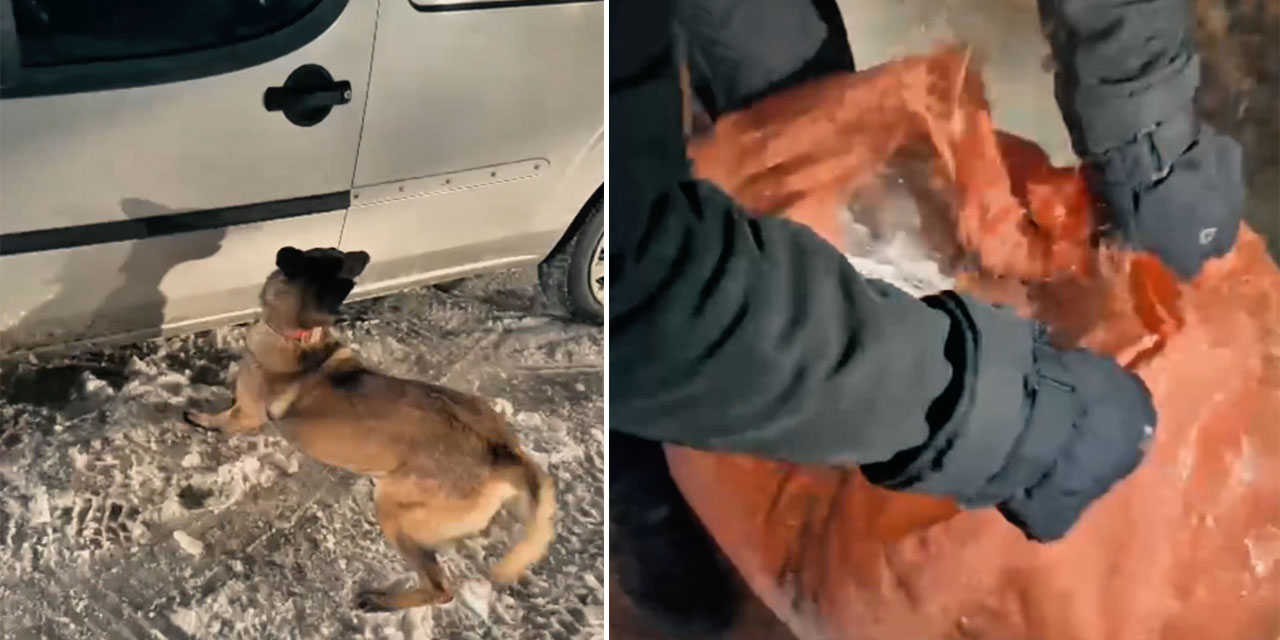 Yüksekova’da 30 kilo skunk ele geçirildi