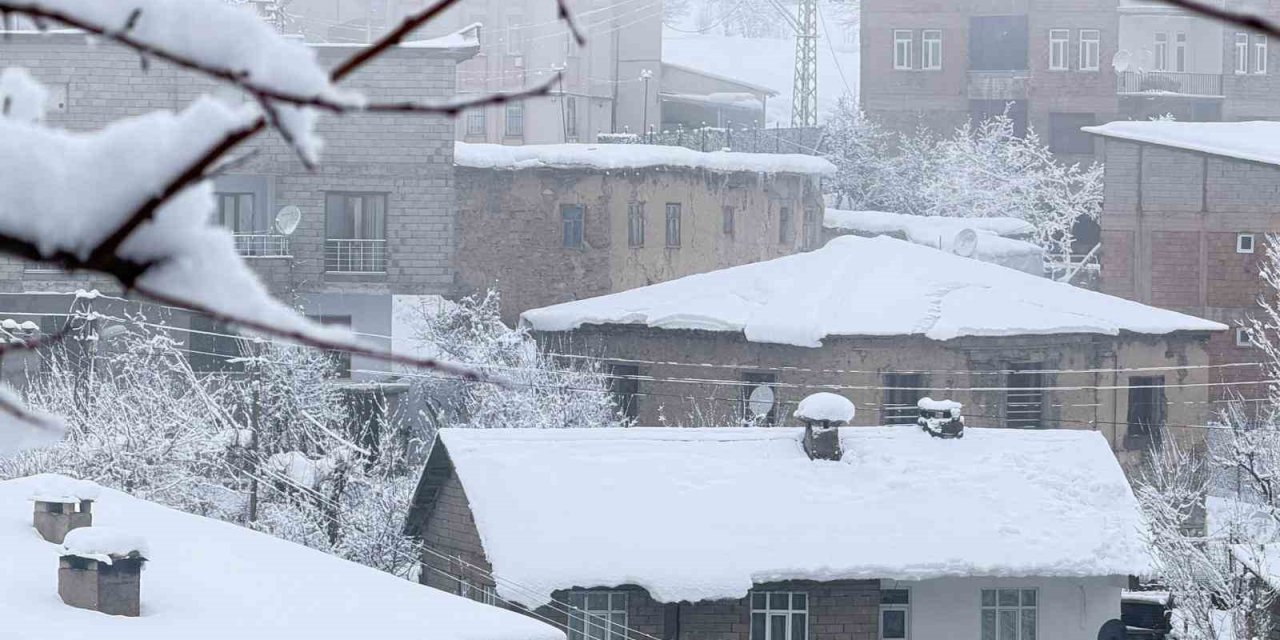 Hakkari’de 160 yerleşim yolu ulaşıma kapandı