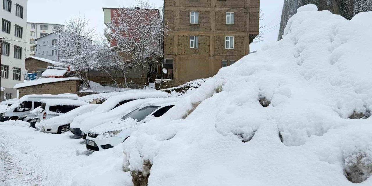 Hakkari’de 223 yerleşim yerinin yolu ulaşıma kapandı
