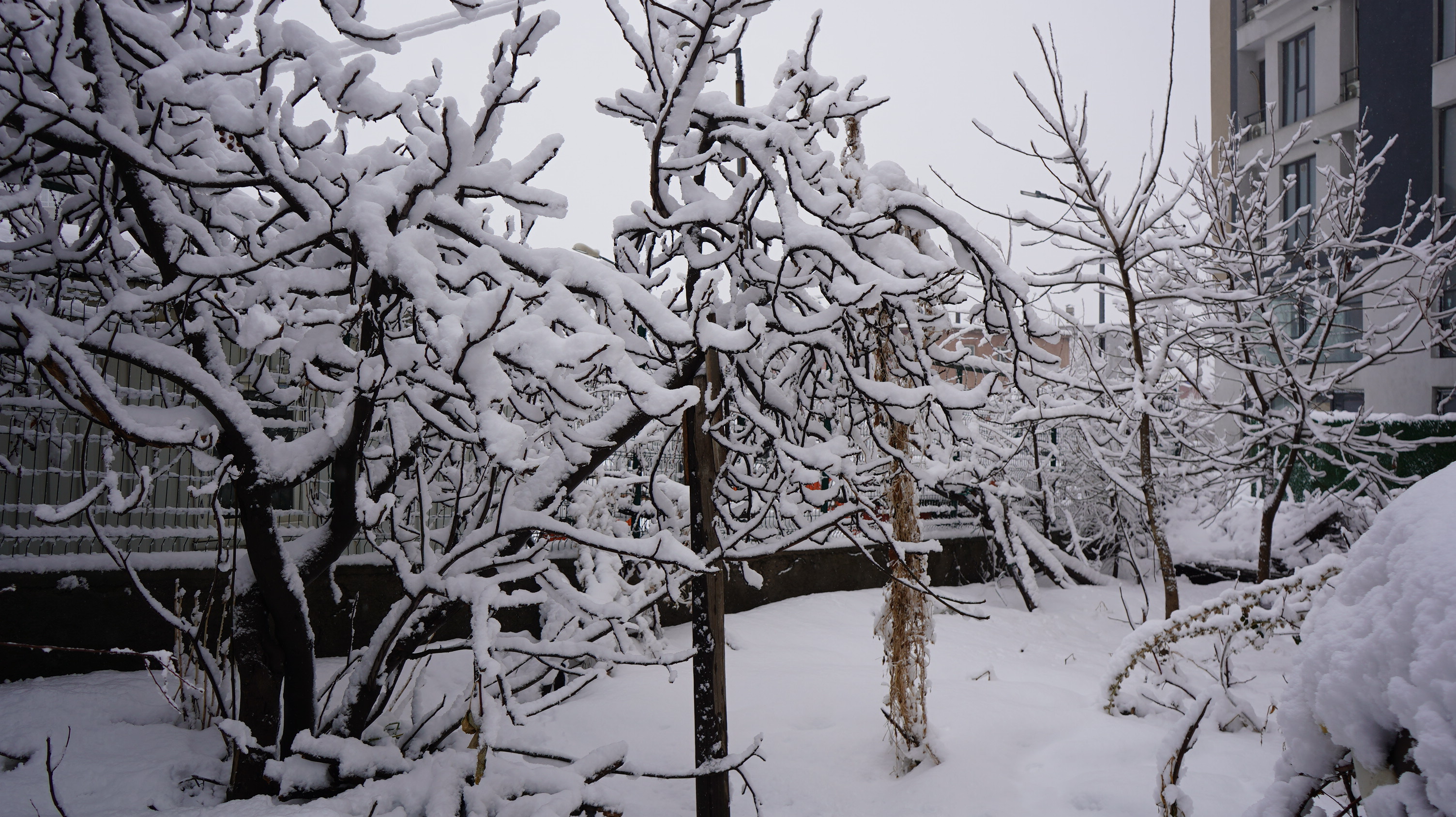 Şırnak’ta kar yağışı