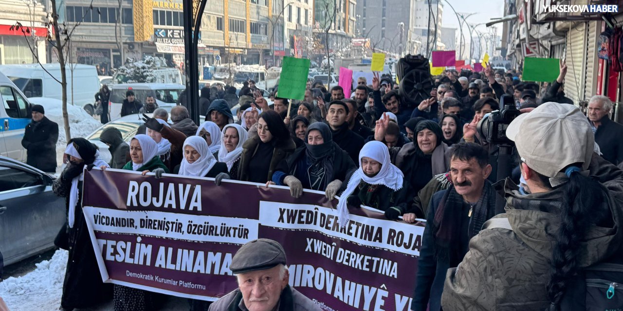 Yüksekova’da Halep’e yönelik saldırılara ilişkin basın açıklaması yapıldı