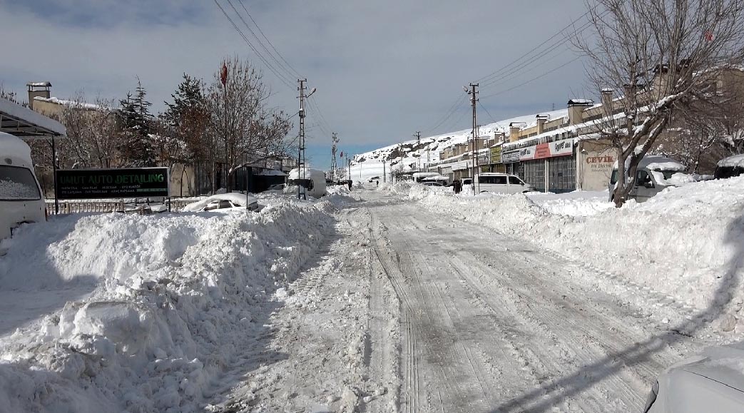 Erciş'te dondurucu soğuk etkili oluyor