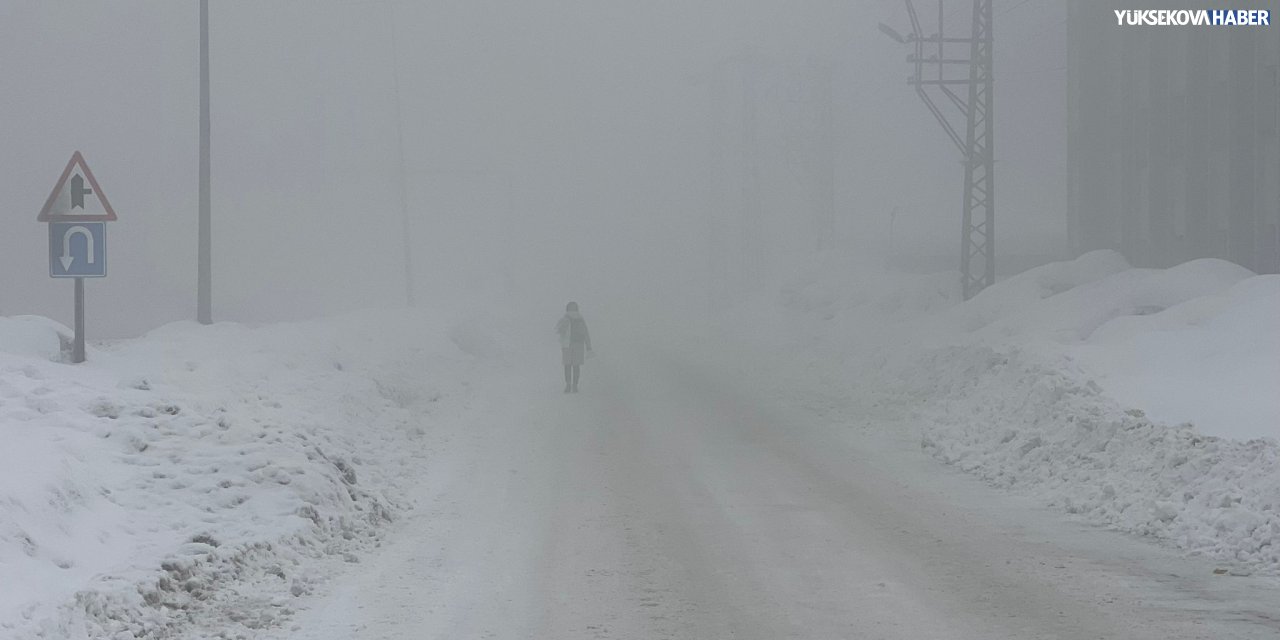 Yüksekova’da yoğun sis etkili oldu