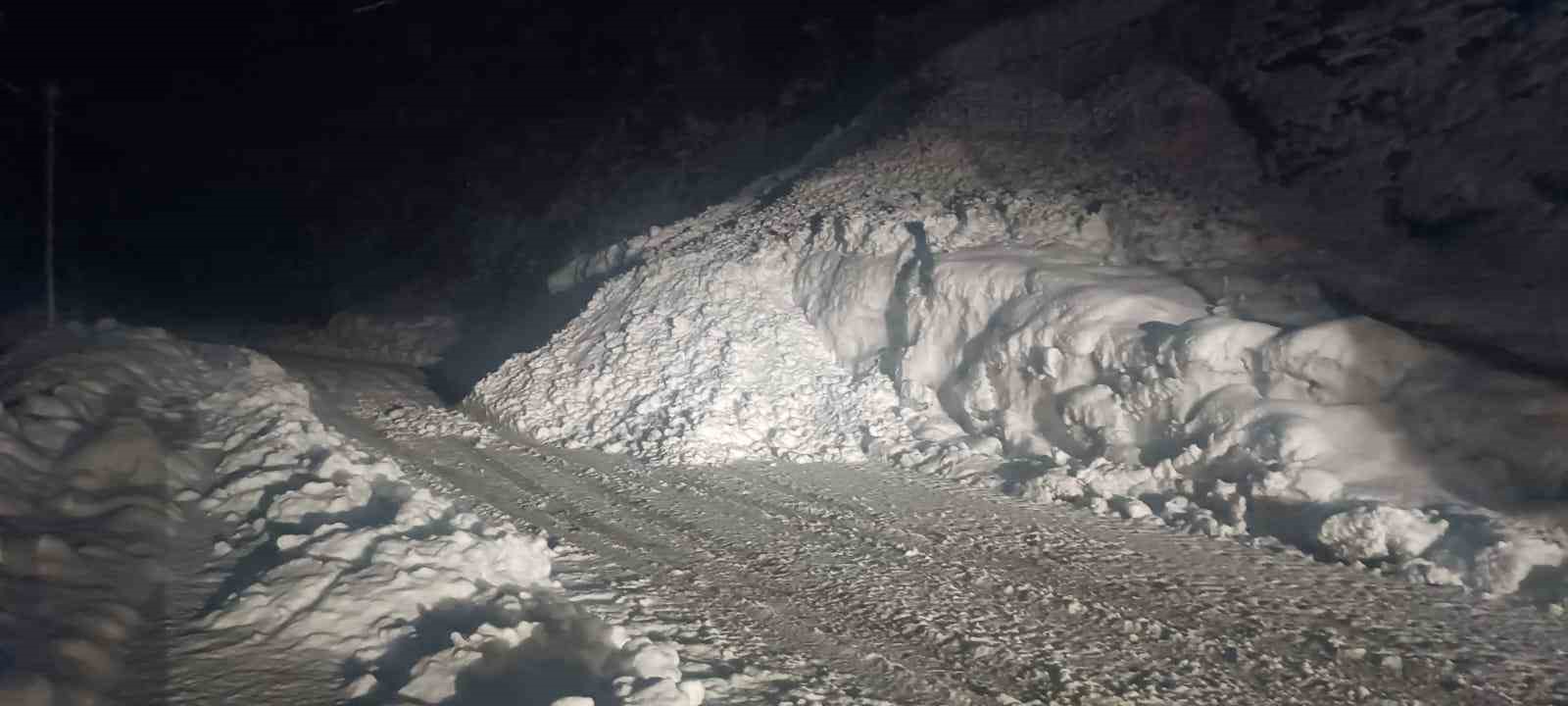 Şırnak yoluna çığ düştü, karayolu 2 saat ulaşıma kapandı