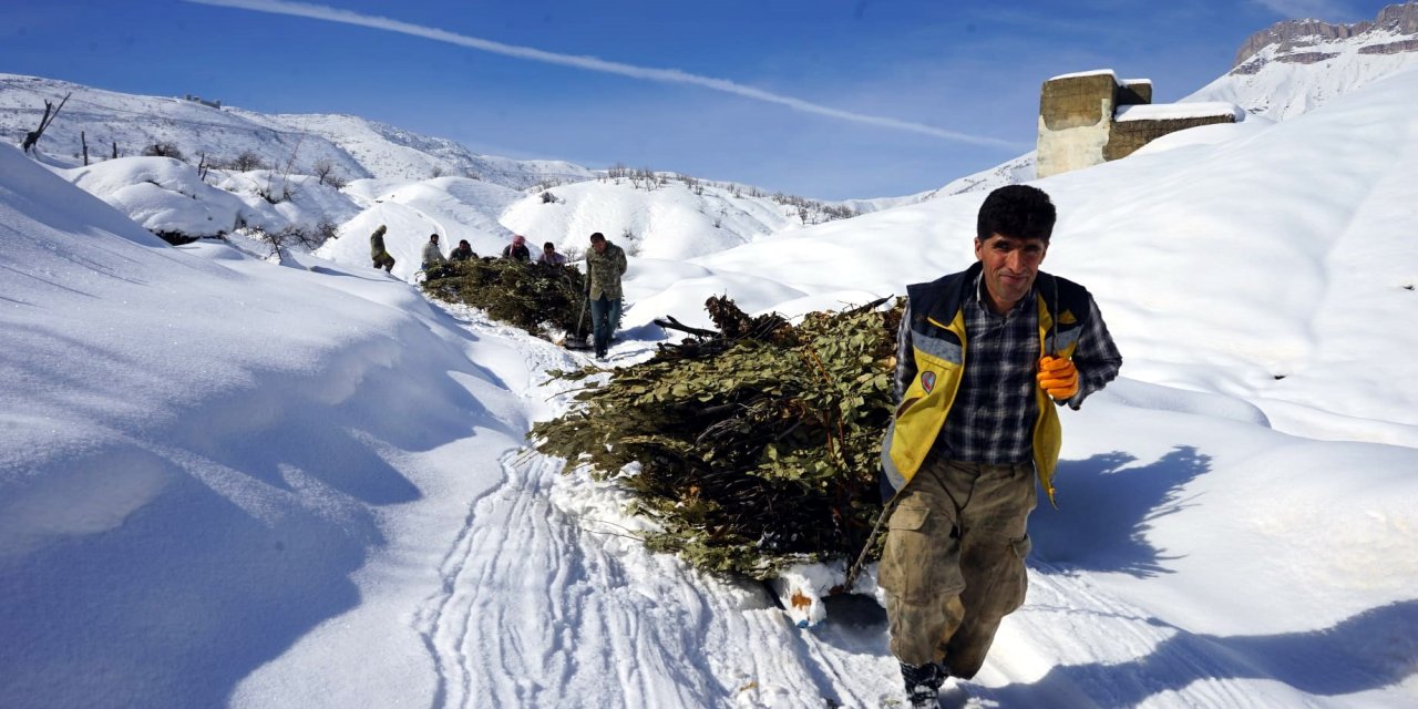 Derecik'te besicilerin kızakla ot taşıma mesaisi başladı