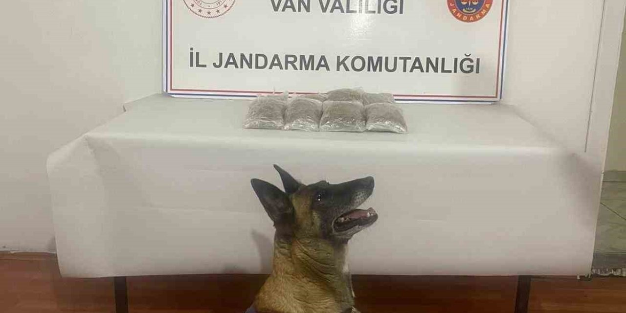 Van’da uyuşturucu madde yakalandı