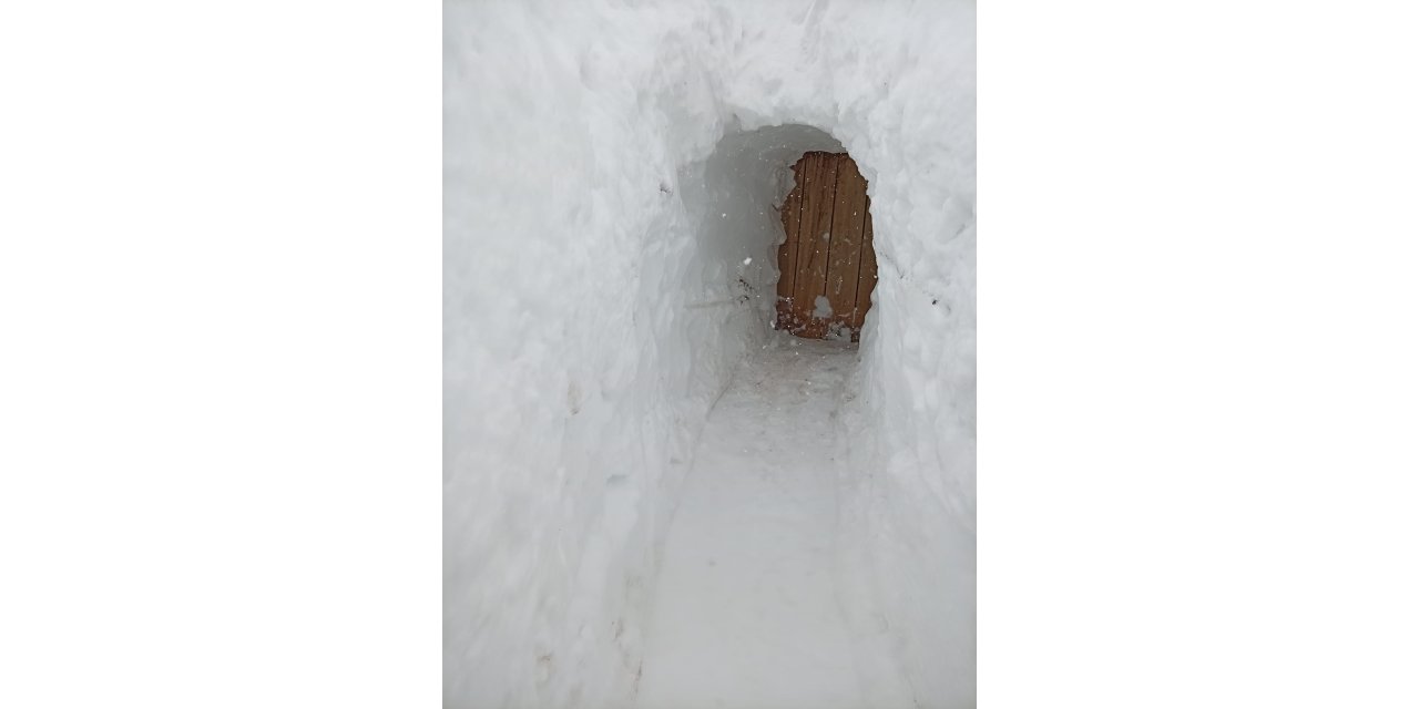 Kar kalınlığının 2 metreyi bulduğu mezrada evi ile ahırı arasına tünel açtı