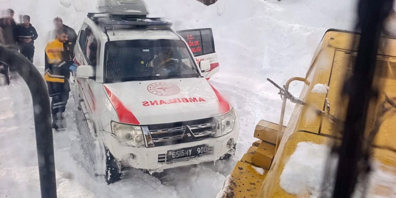 Van'da hastalar hastanelere ulaştırıldı