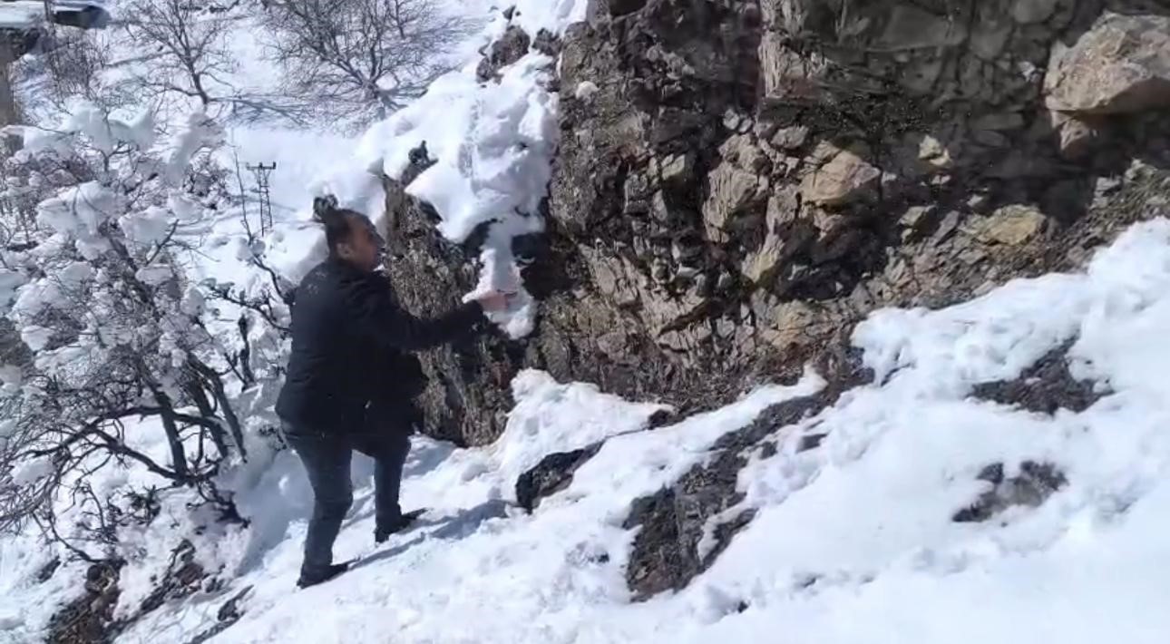 Şırnak'ta keklikler için doğaya yem bıraktılar