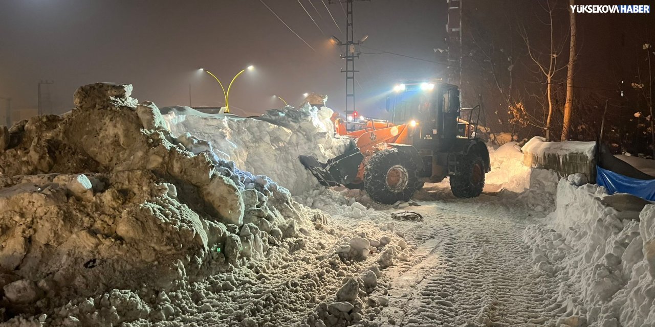 İpekyolu Caddesindeki kaldırımlarda biriken karlar şehir dışına taşınıyor