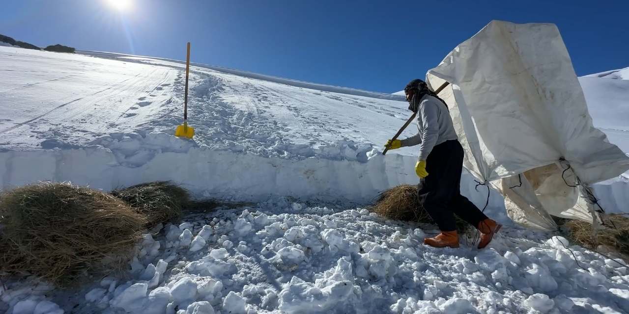 Yüksekova'da besicilerin zorlu mesaisi sürüyor