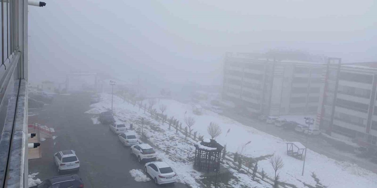 Diyarbakır'ın Kulp ilçesinde yoğun sis etkili oldu