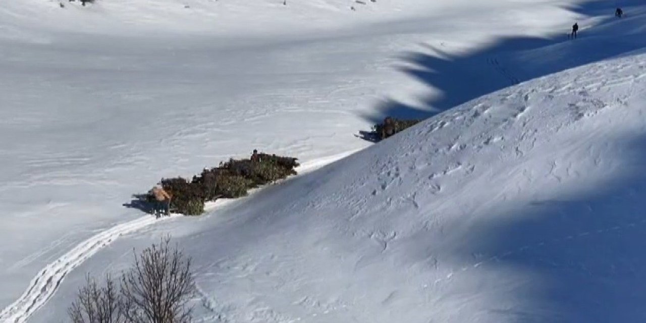 Bitlis’te hayvanlar için kızaklı yem mesaisi