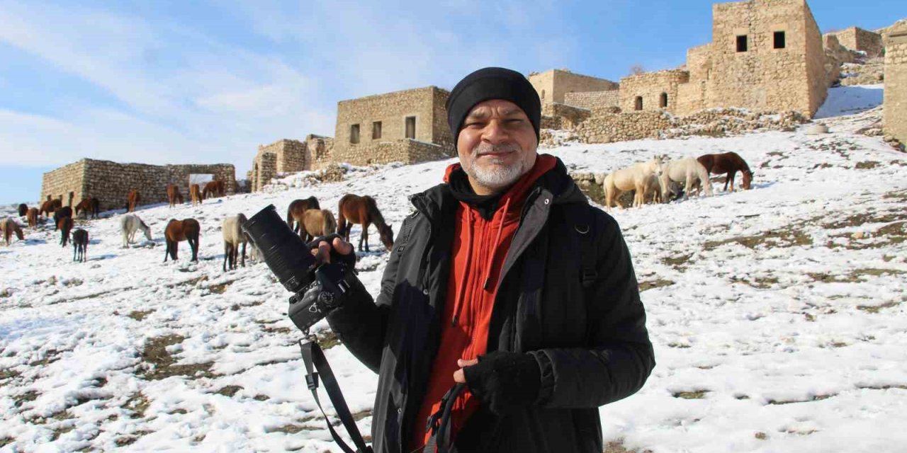 İdil'deki yılkı atları fotoğrafçıların gözdesi oldu
