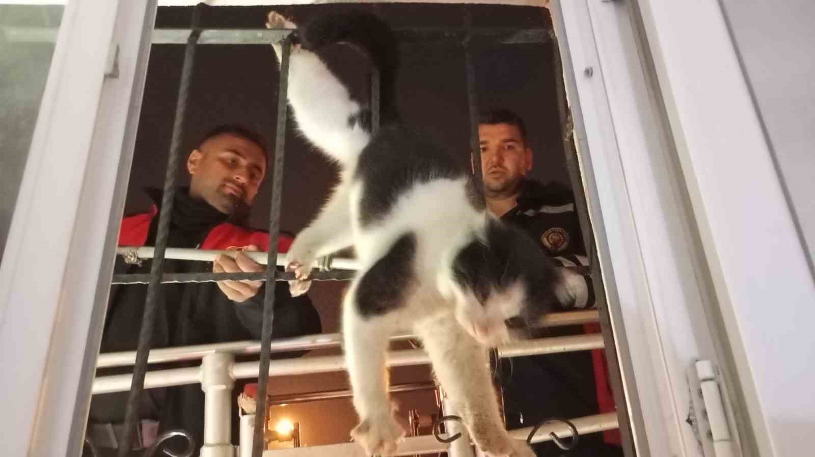 Cizre’de ayağı demir korkuluklara sıkışan kedi kurtarıldı