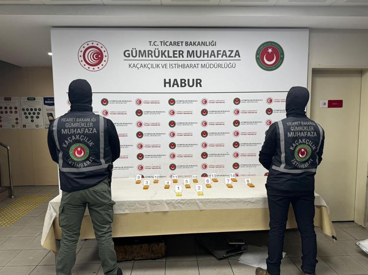 Şırnak- Habur’da ocak ayı içerisinde 41 kilo kaçak altın ele geçirildi