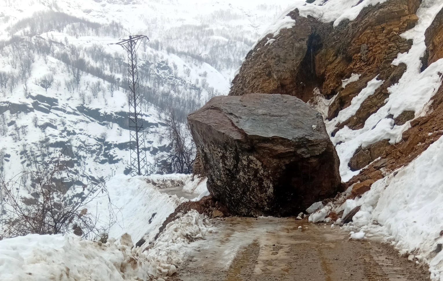 Bitlis’te 6 farklı noktada heyelan meydana geldi