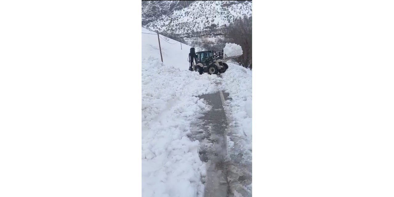 Van'da çığ düştü; kardan temizlenen yol yeniden kapandı