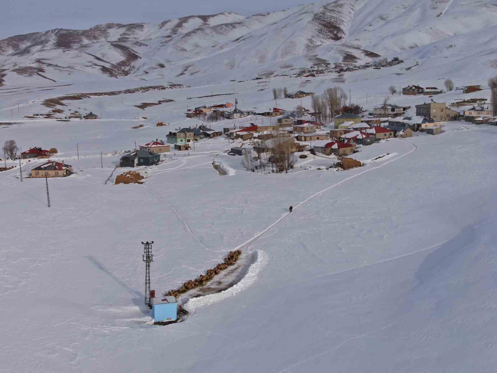 Van’da besicilerin karda zorlu mesaisi devam ediyor
