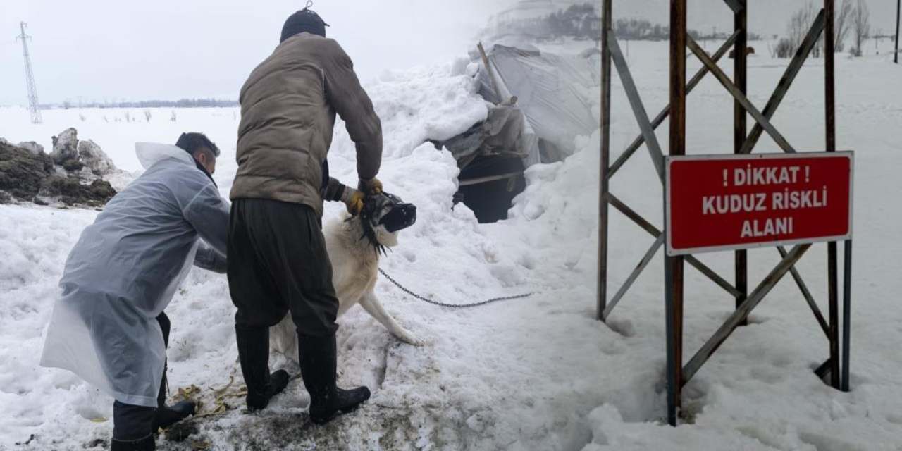 Yüksekova’ya bağlı Kadıköy köyünde kuduz vakası
