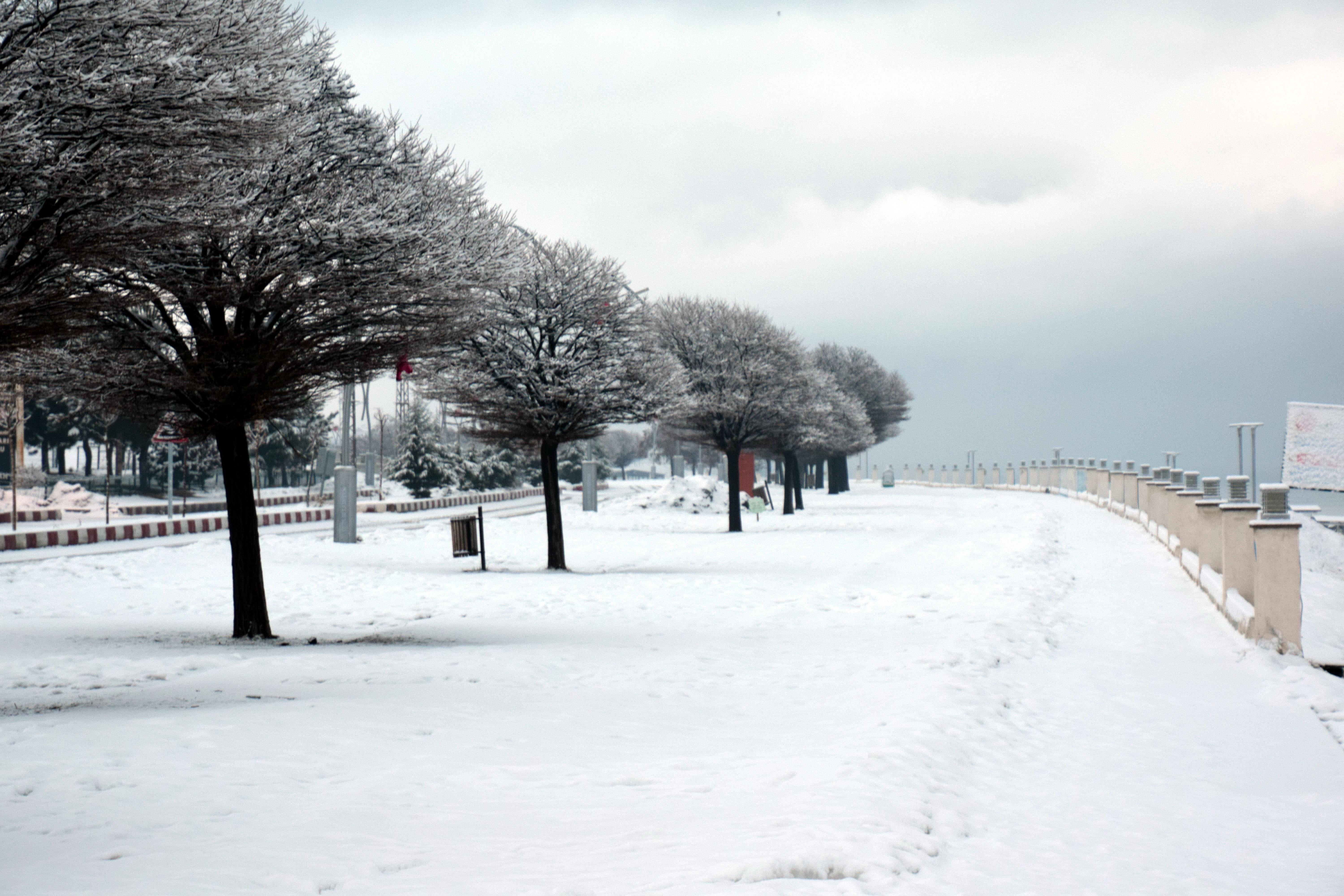 Erciş'te kar yağışı sonrası güzel görüntüler oluştu