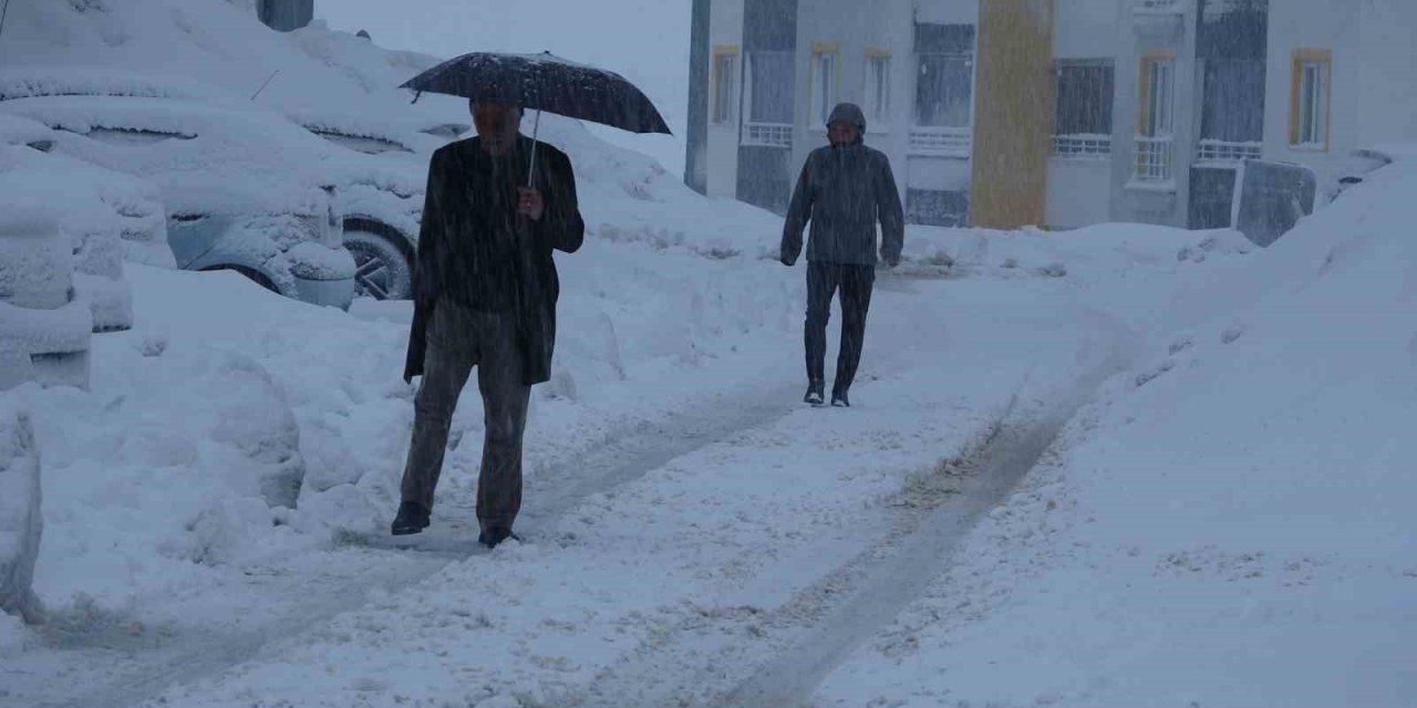 Bitlis’te 165 köy yolu kardan kapandı