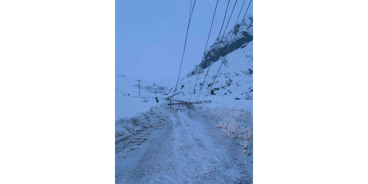 Diyarbakır'da kar yağışı nedeniyle devrilen 300 elektrik direği yenilendi