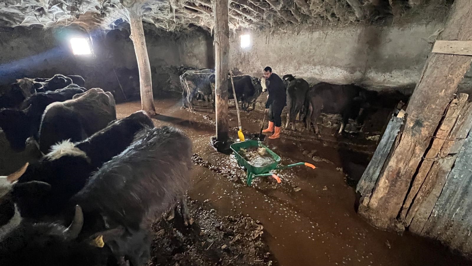 Yüksekova’da sağanak etkili oldu, ahırları su bastı