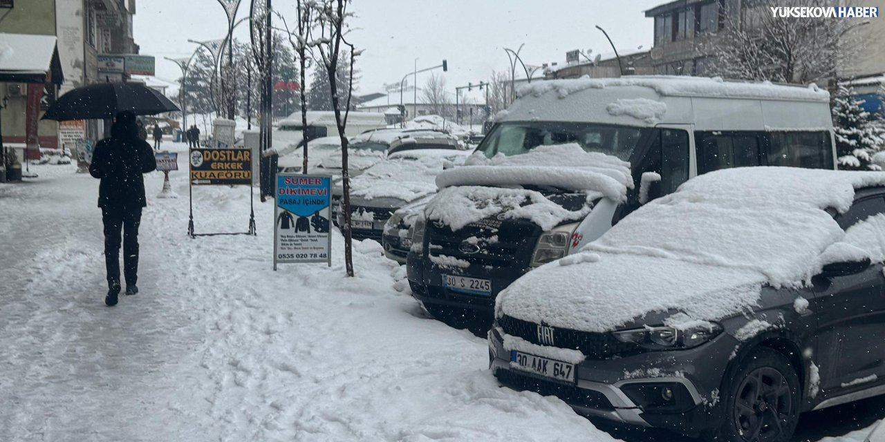 Yüksekova’da kar yağışı etkili oldu
