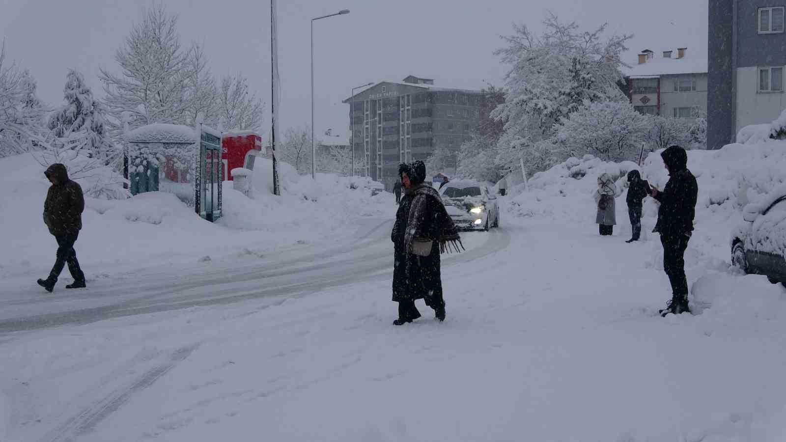 Bitlis’te 62 köy yolu ulaşıma kapandı