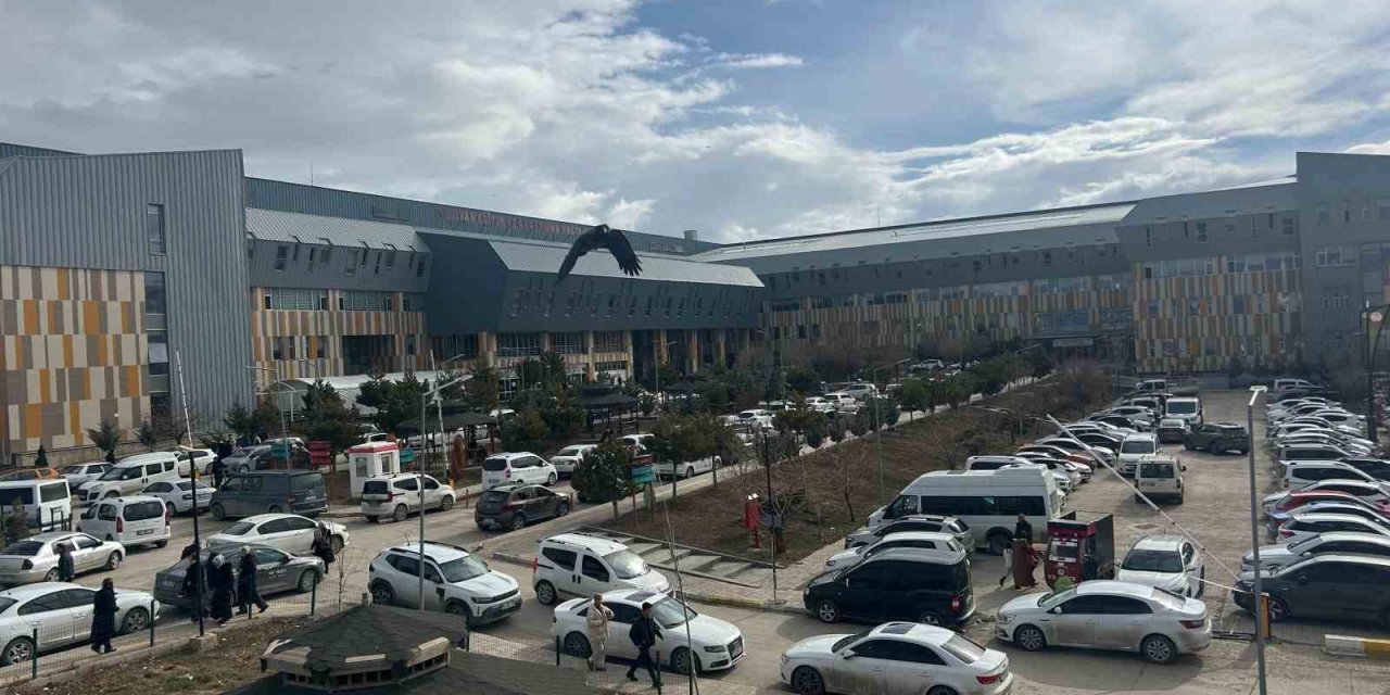 Uzman Dr. Dinç: "Erken tanı konulan çocukluk çağı kanserlerinde başarı oranı yüksek"