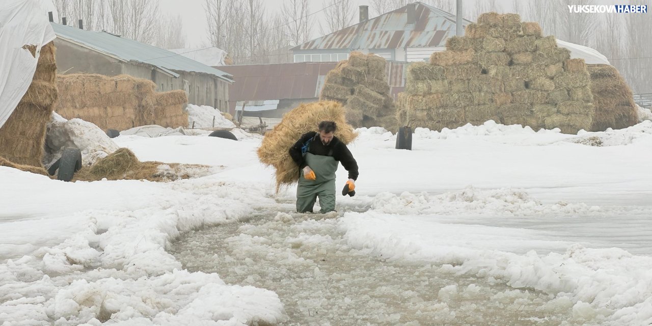 Yüksekova’da su baskınları: Evler ve ahırlar sular altında