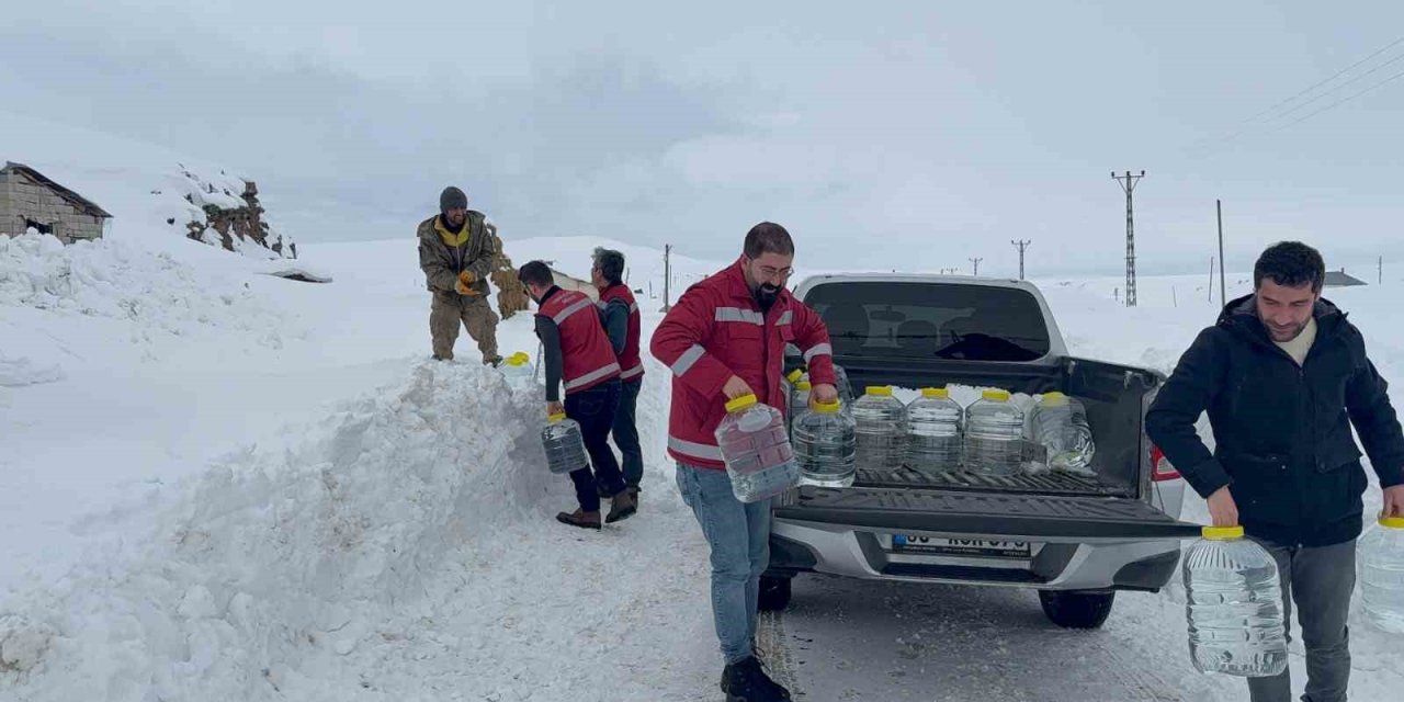 Suların donduğu bölgedeki hayvanlara su götürüldü