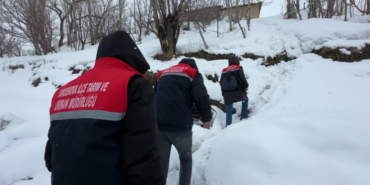 2 bin rakımda gıda seferberliği: Karlı yolları aşarak çocuklara bilgi taşıdılar