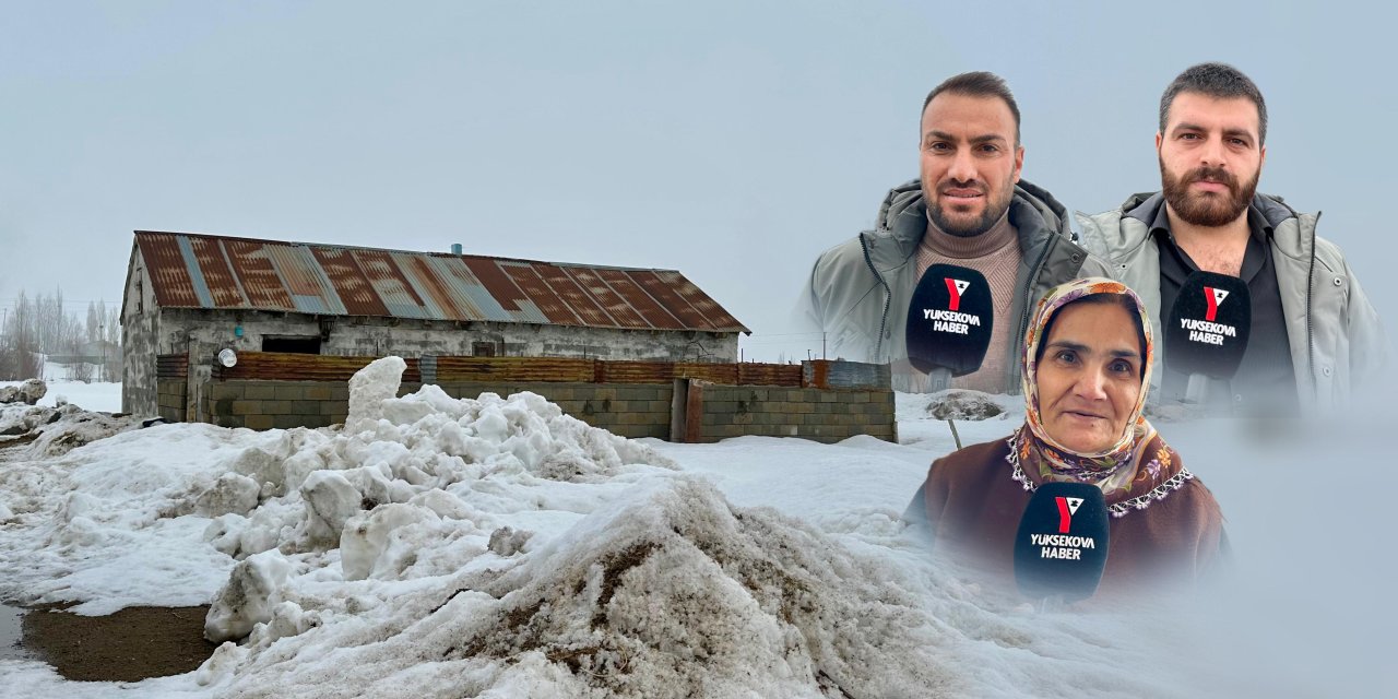 Yüksekova’da engelli maaşıyla alınan inek öldü, aile tek geçim kaynağını kaybetti