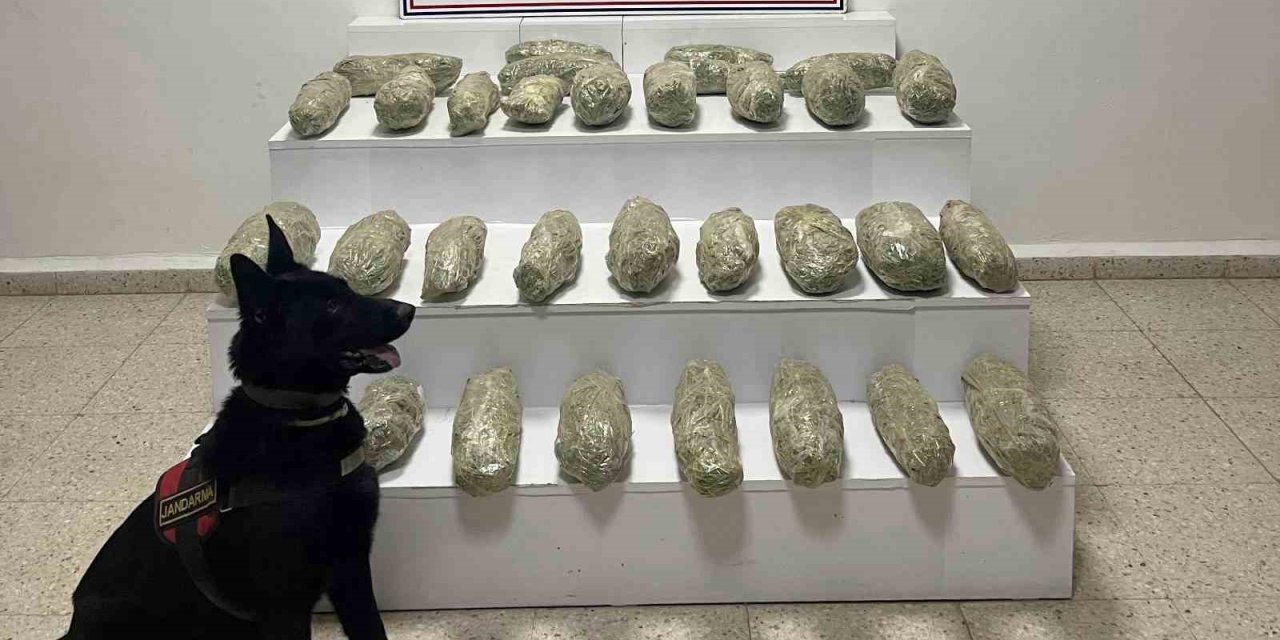 Başkale’de 21 kilo skunk yakalandı